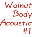 Walnut Body Acoustic Guitar